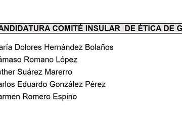 Composición del nuevo Comité de Ética del PSOE grancanario/TA.